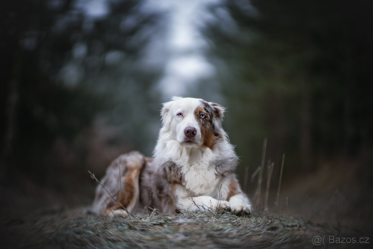 Meopta Meostigmat 70/1 pro Sony - 7