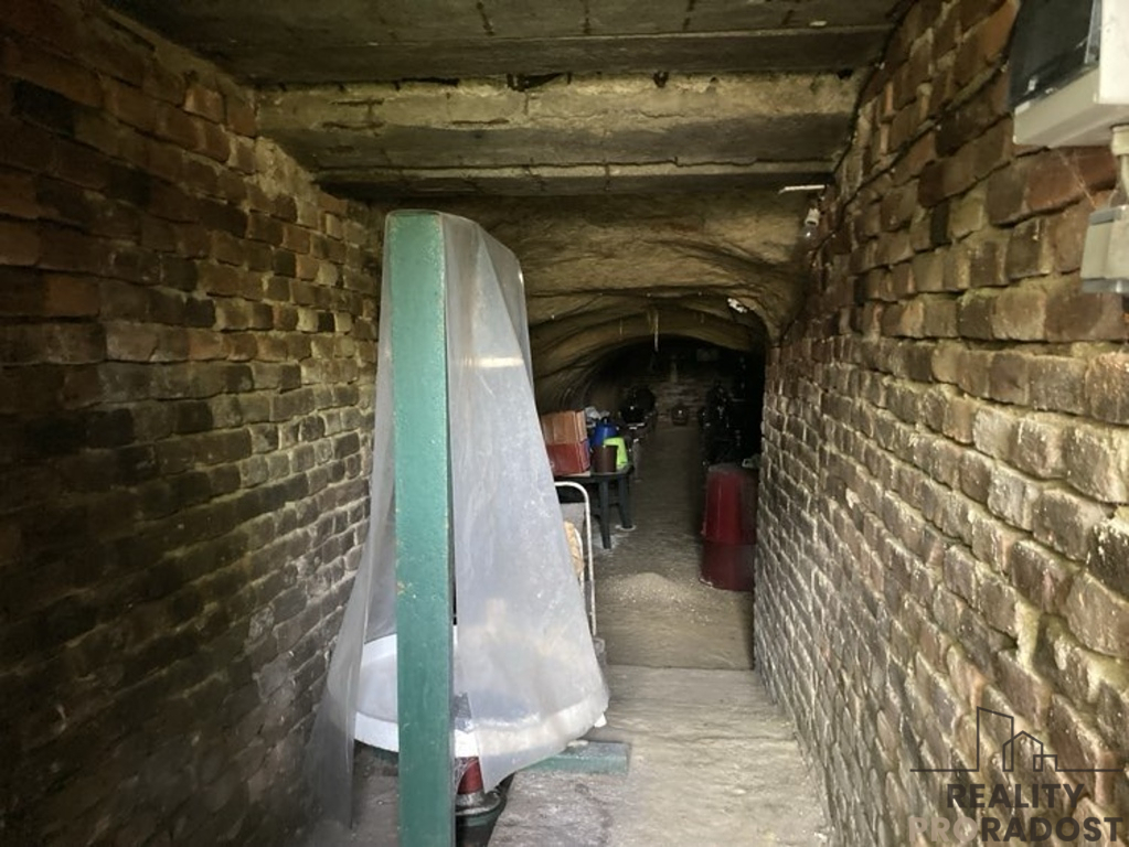 Prodej vinného sklepa ve Chvalovicích, 20 m2, Chvalovice, ok - 7