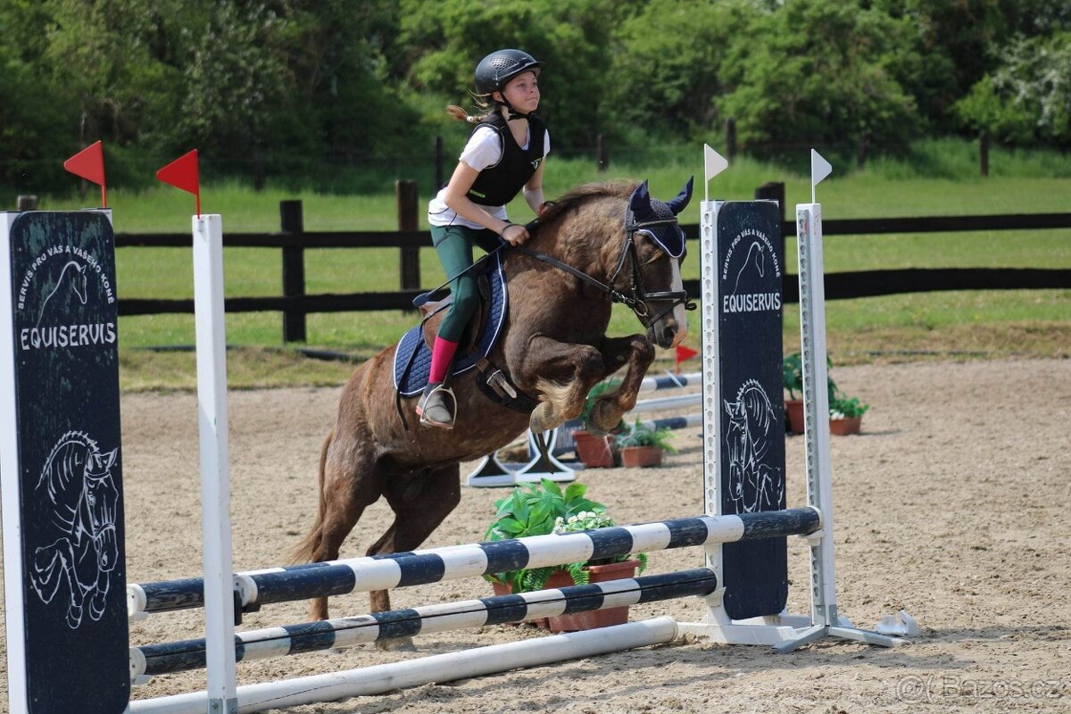 Hodný Pony valach - 7