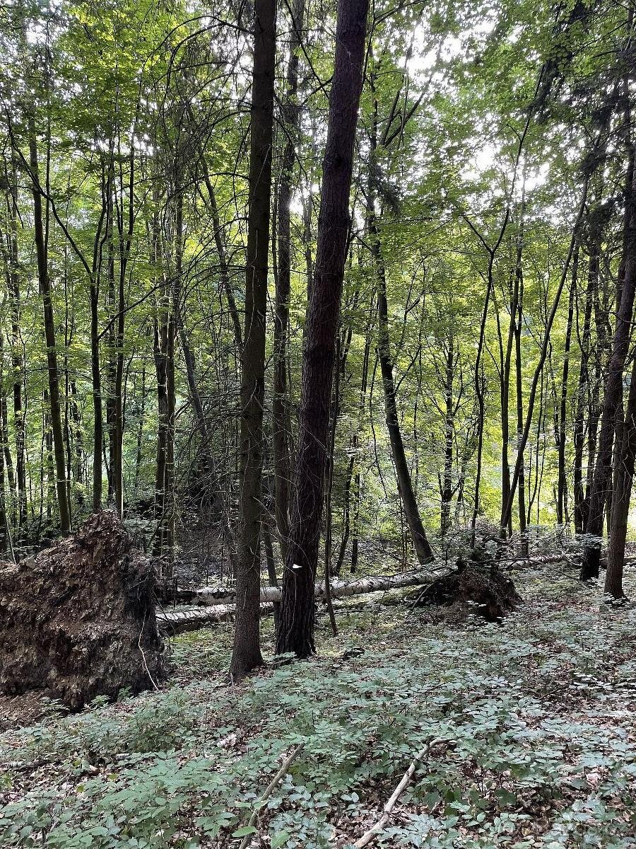 Prodám pozemky v k.ú. Útěchov u Moravské Třebové - 7