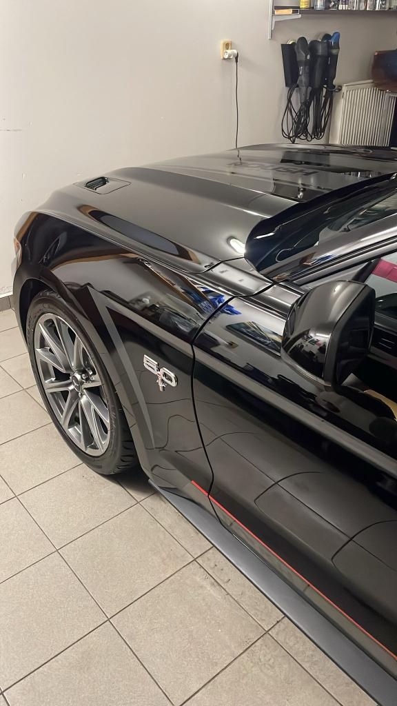 Mustang V8 5.0 Fastback - 7