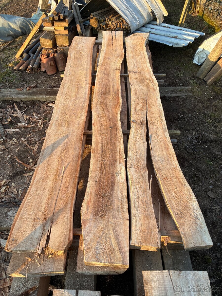 Jilm fošny, prkna - 7