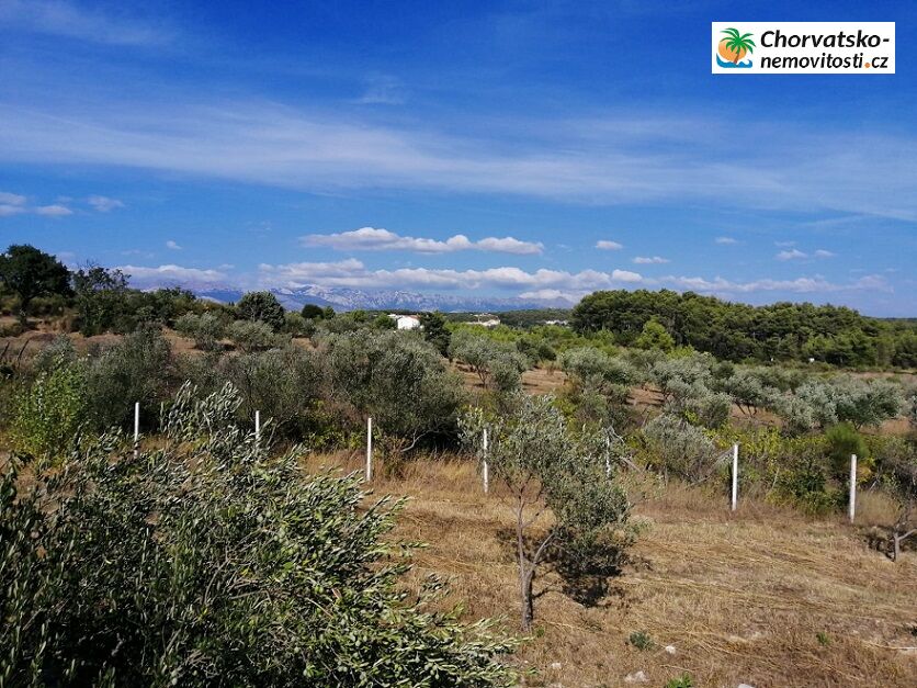 Prodej, dům, 231 m poz., , Česko - 7