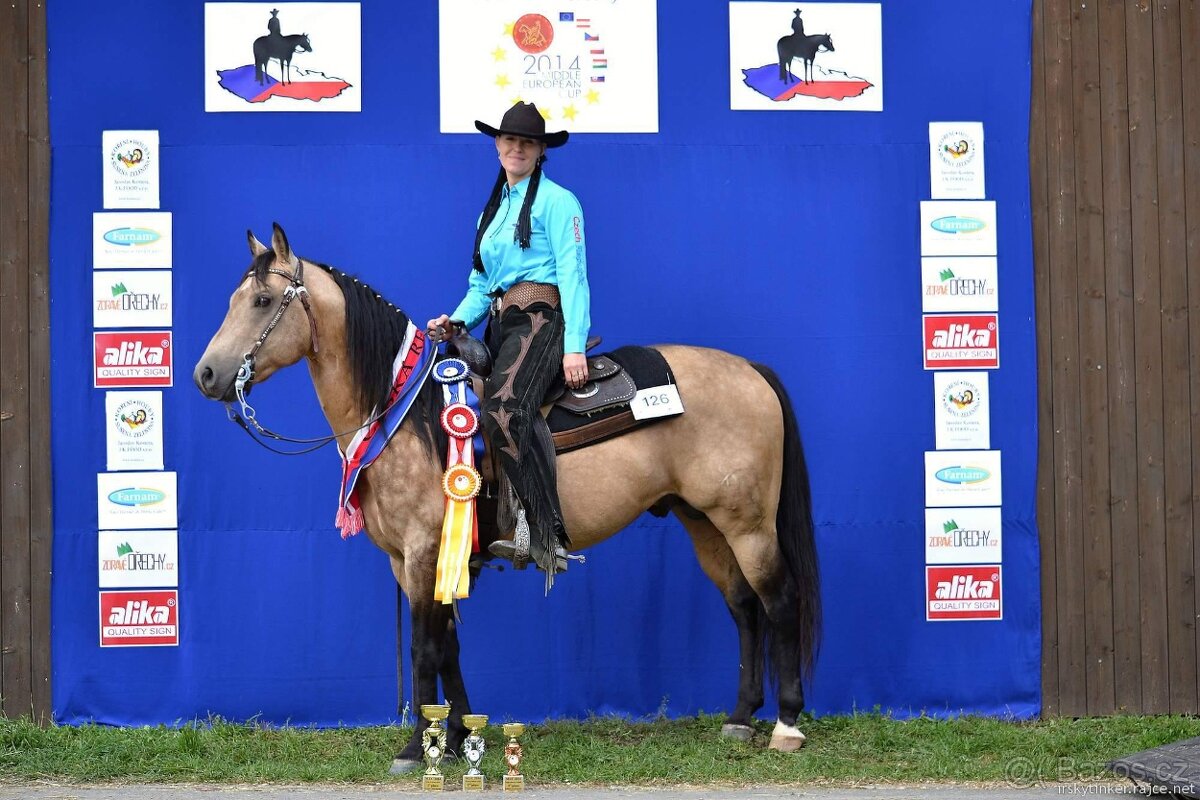 Připouštění QH hřebcem 7 panel N/N - 7