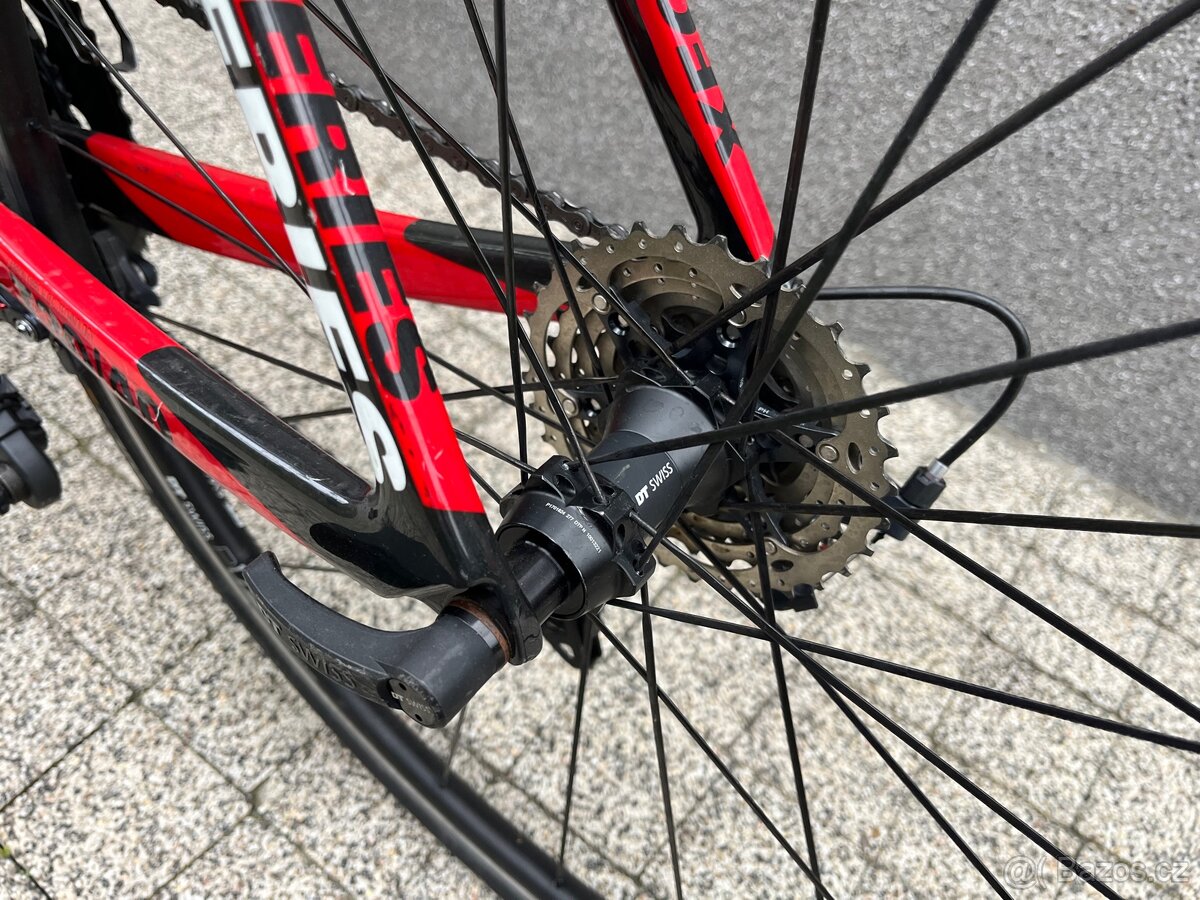 Rose Xeon ultegra 7kg - 7