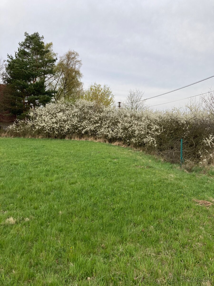 Pronájem autoplošiny - 7