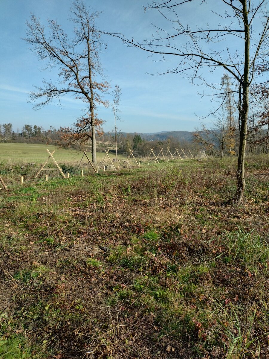 Stavba lesních oplocenek - 7