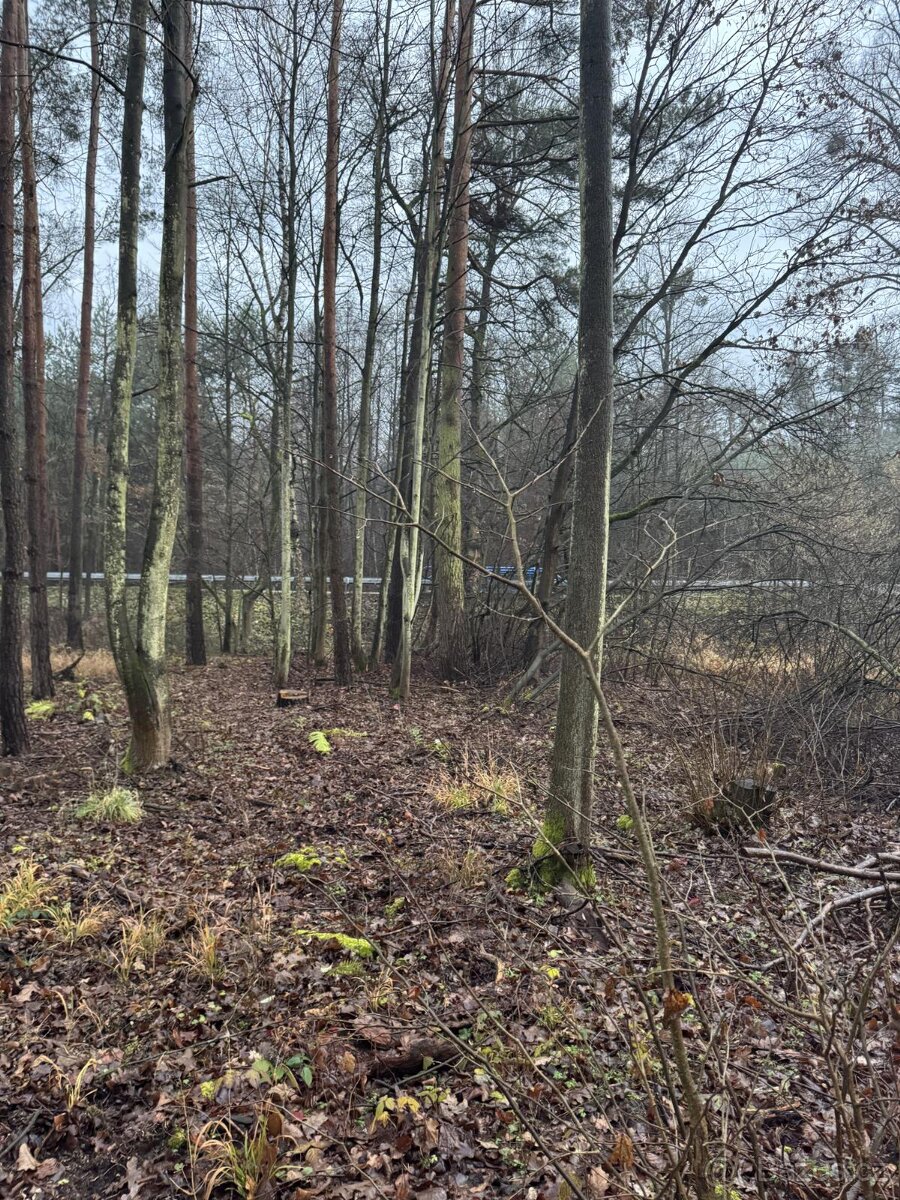 Prodám pozemky v k.ú. Břehy - 7