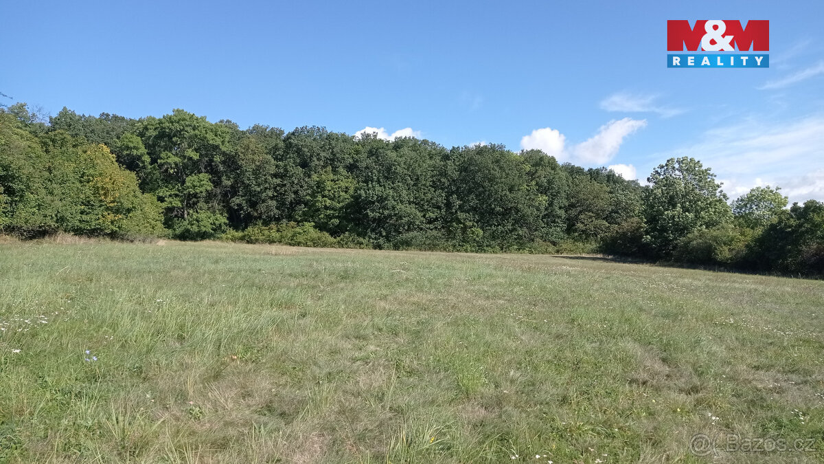 Prodej louky, 13227 m², Jenčice - 7