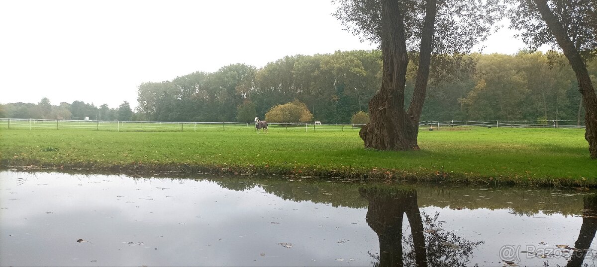 Ustajeni Neratovice - Mlekojedy - 7