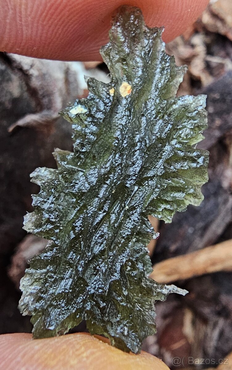 Vltavíny Besednice - 7