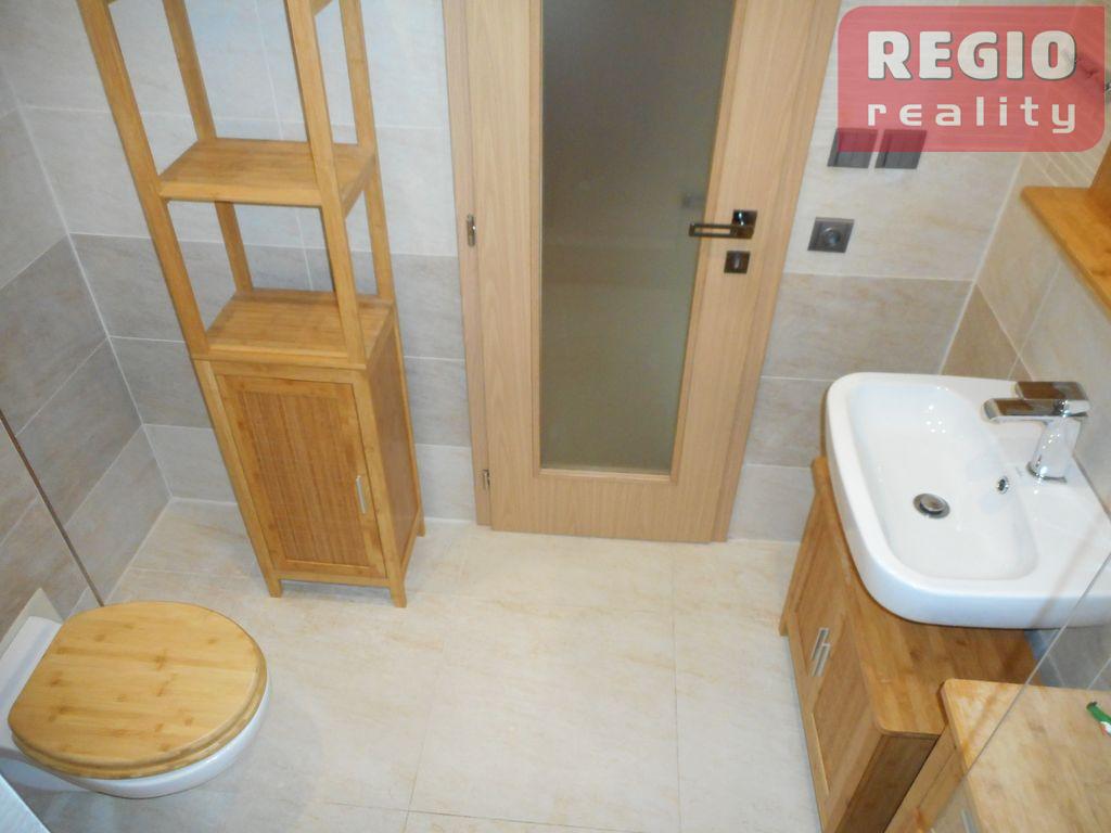 REZERVOVÁNO - Pronájem bytu 1+1, Frýdek, Nad Rybníkem - 7