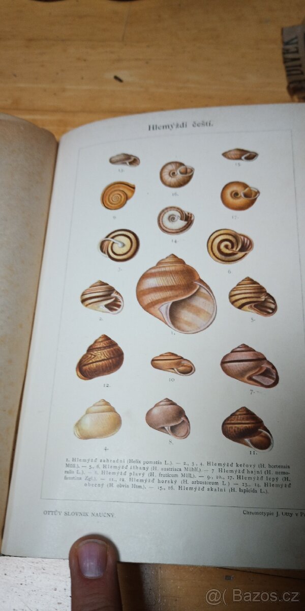 Ottův slovník naučný - 7