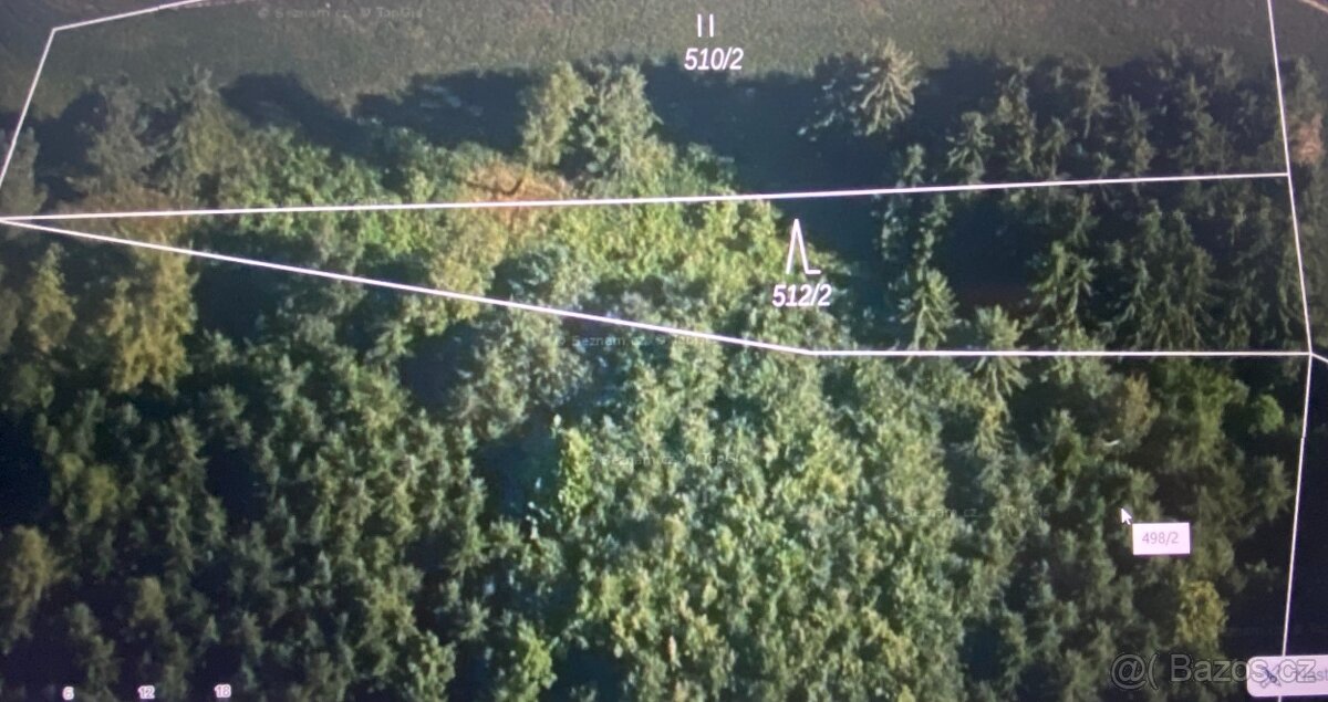 Prodám lesní pozemek Čepřovice - 7