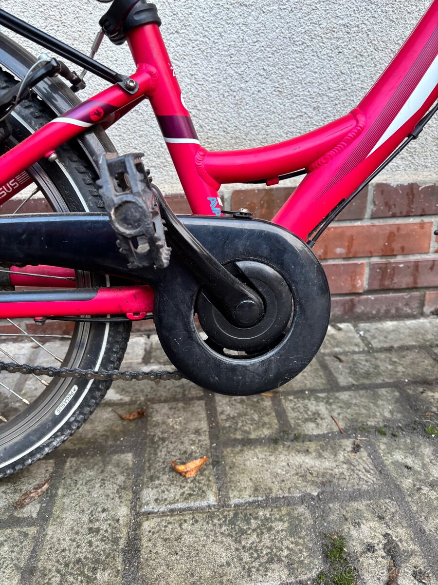 DĚTSKÉ KOLO PEGASUS 20” - 7