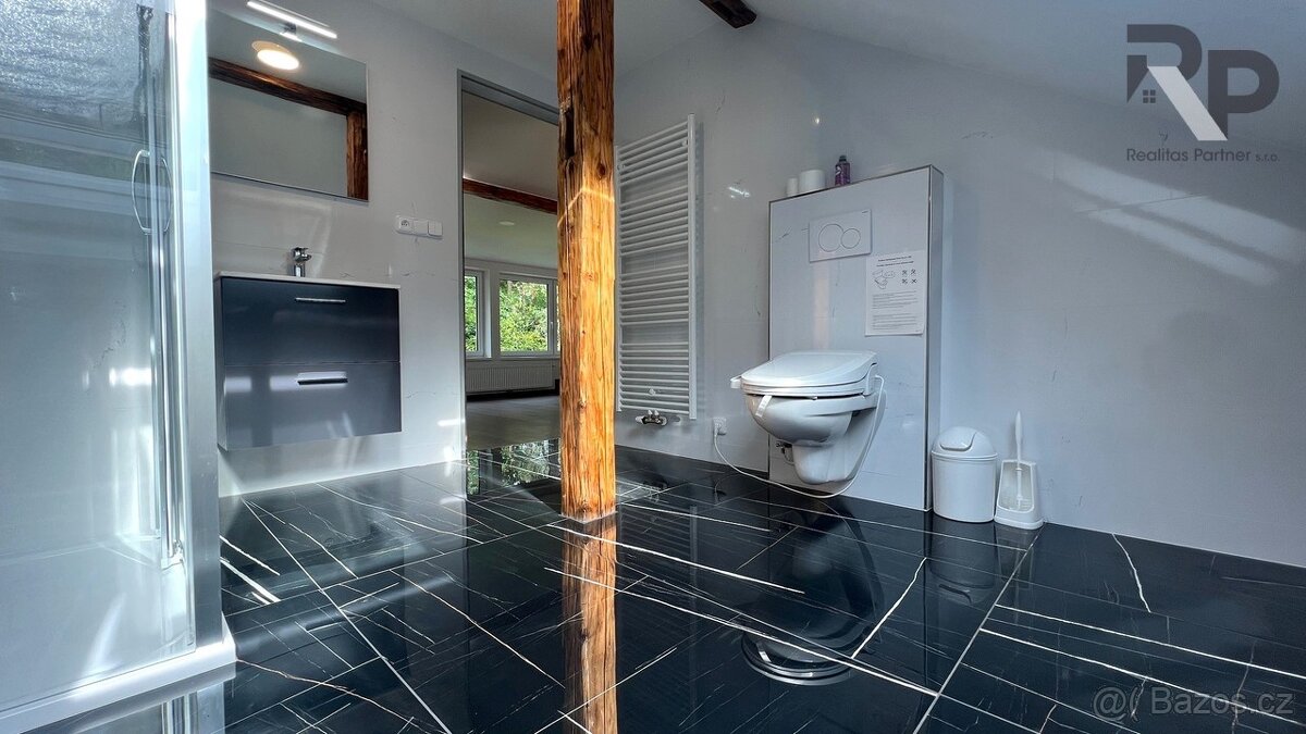 Pronájem jedinečného bytu ateliérového typu v podkroví rodin - 7