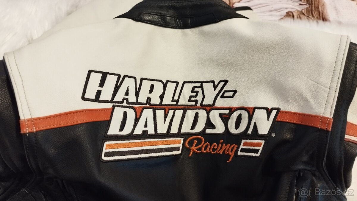 Harley Davidson Raceway Screamin Eagle - 7