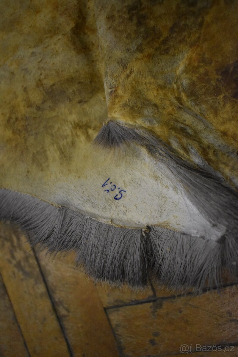 Kožešina Srna 1 - 7