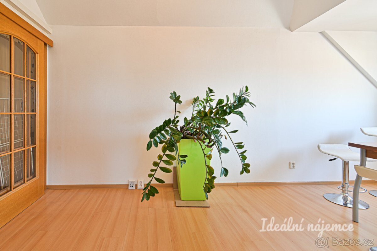 Pronájem bytu 3+kk, Palackého Třída, Královo Pole, 20900 Kč/ - 7