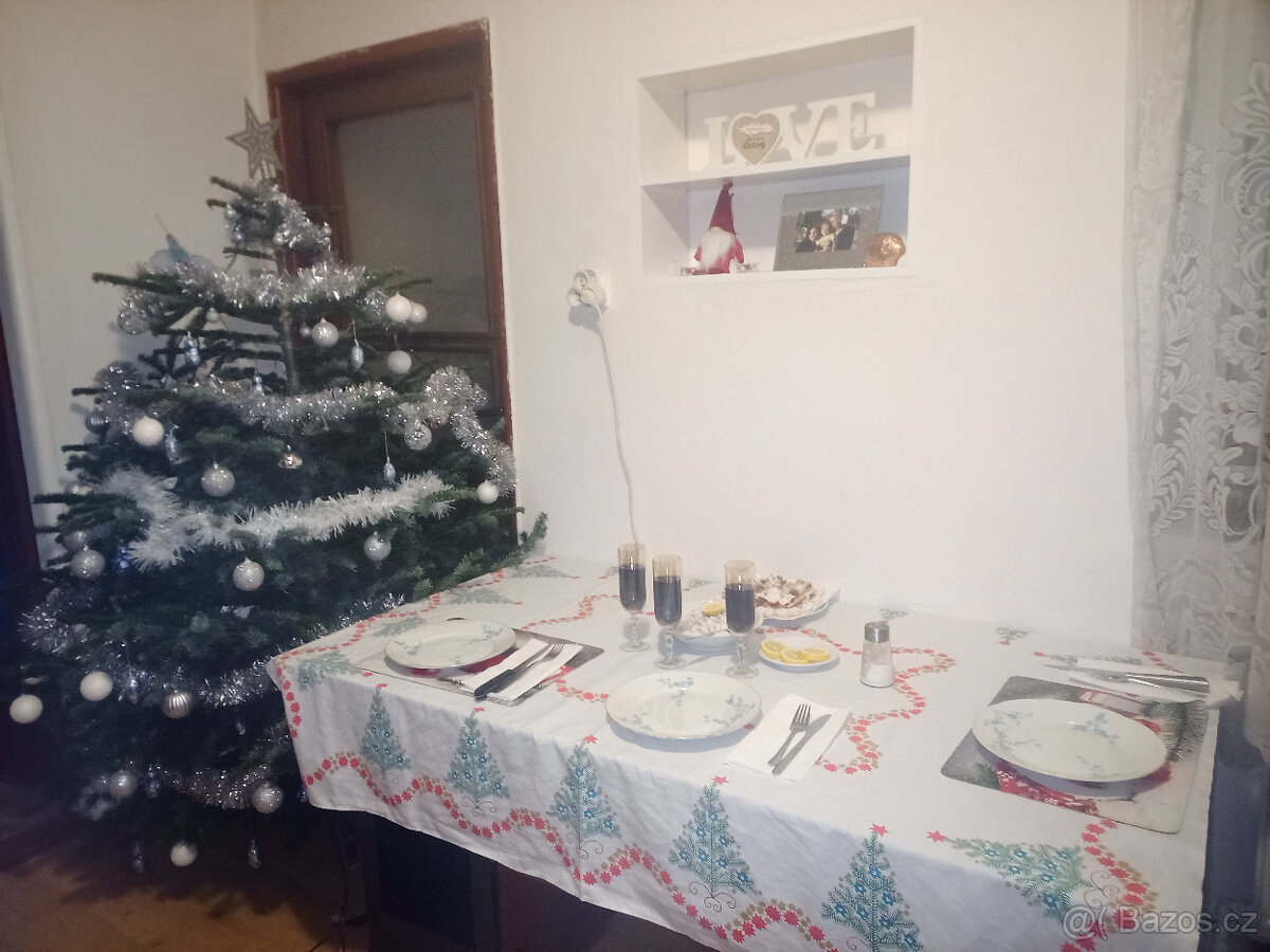 Nabízím k prodeji rodinný dům - 7