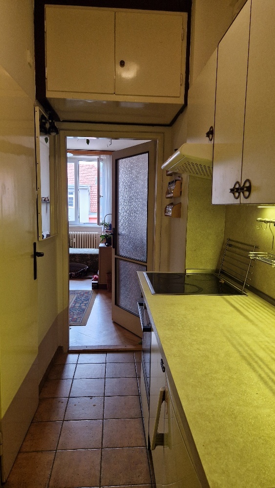 PRODEJ BRNO Kr. Pole Grasonka 35m2 super lokace - 7