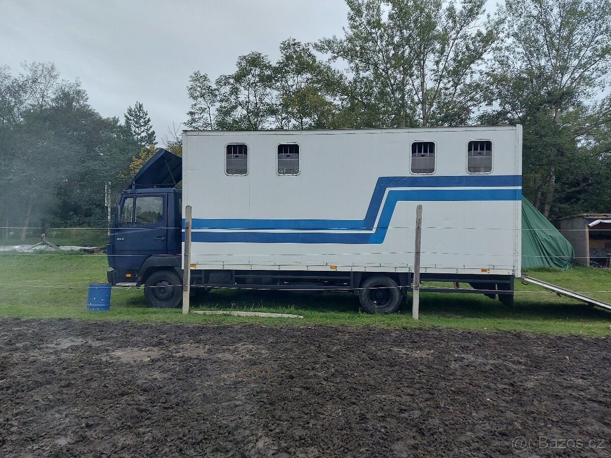 Autopřepravník na 4 koně - 7