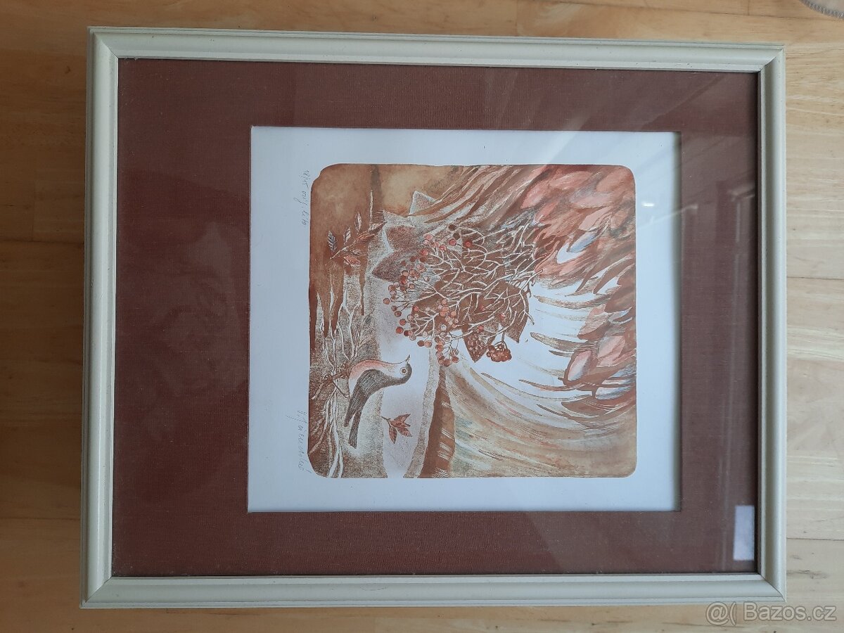 Obrazy Věry Tošenovské - 7