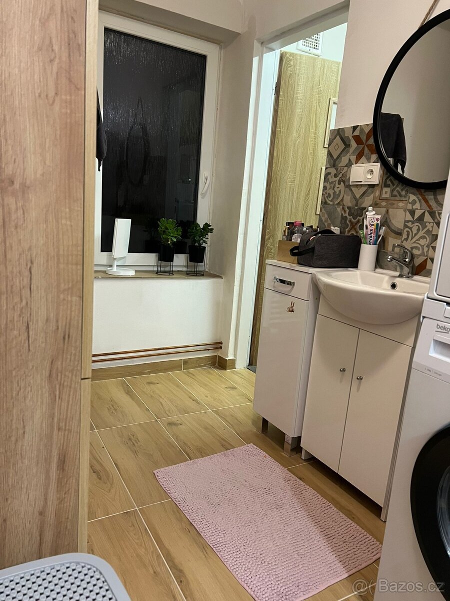 Pronájem bytu v rodinném domě se zahradou Přepeře u Turnova - 7