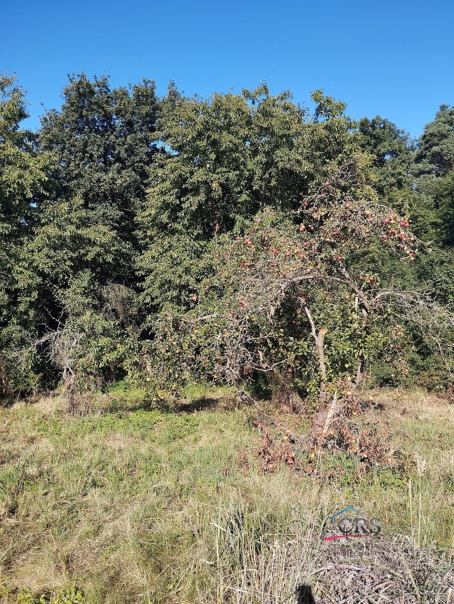 Prodej stavebního pozemku 722m2 - 7