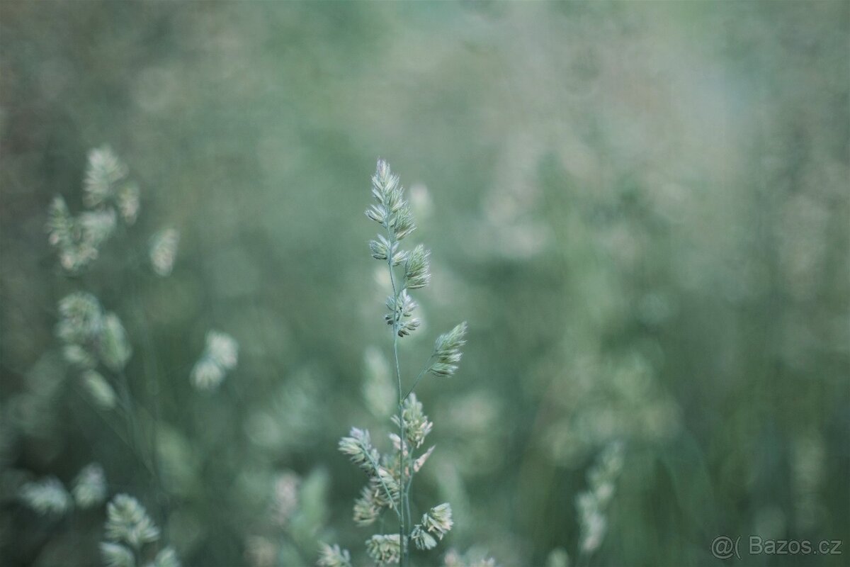 Minolta MC Rokkor-PG 50mm f/1.4 - (Minolta MD) - 7