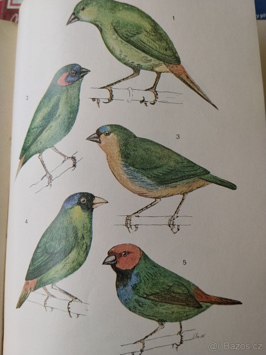 Chovatelská příručka/ droboť, stará kniha - 7