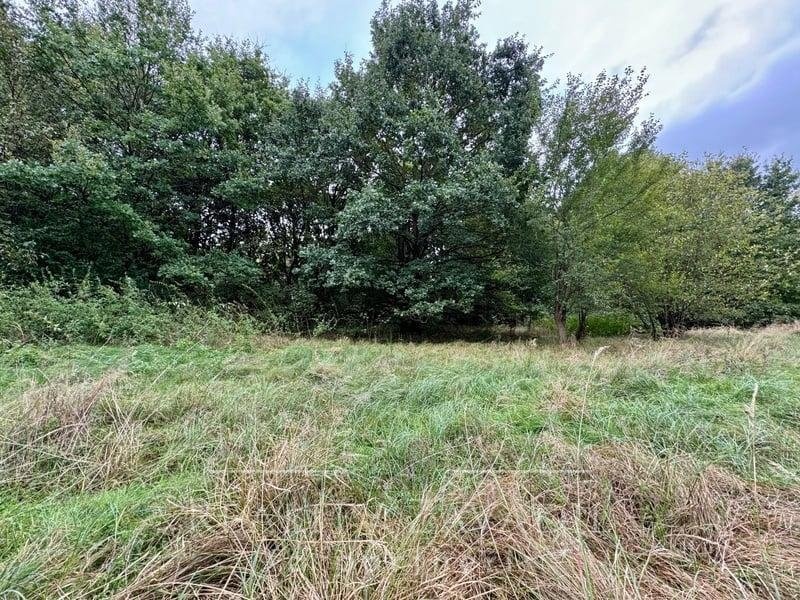 Prodej pozemky - trvalý travní porost, 3 072 m² - Karviná - - 7