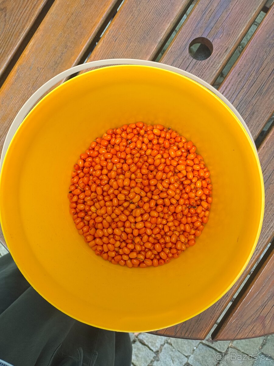 Hledám chatu k pronájmu Plzeň Rokycany Dobřív, Strašice aj - 7