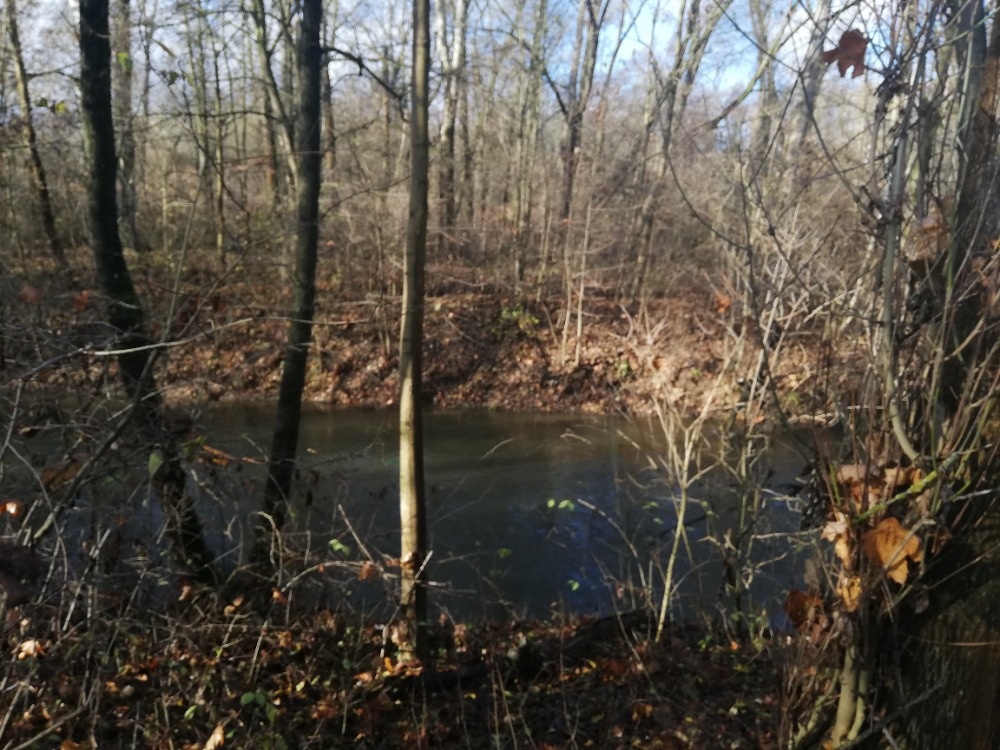 Zahradka u jezera Poděbrady (i s člunem) možnost splátek - 7