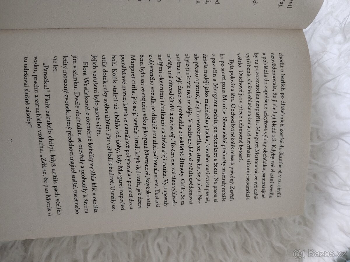 Krámek se starožitnostmi - 7