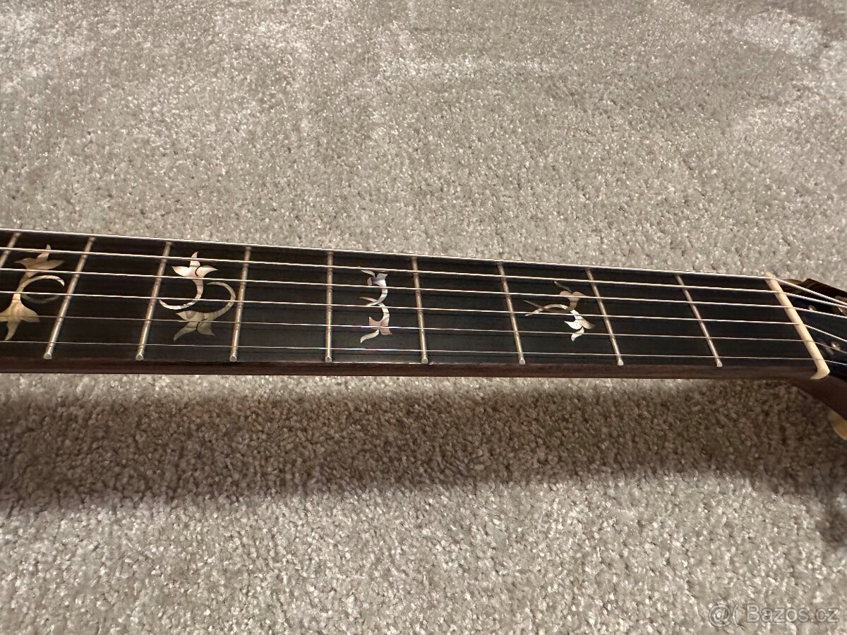 Taylor 910e / R.V 2014 / DREADNOUGHT / - 7