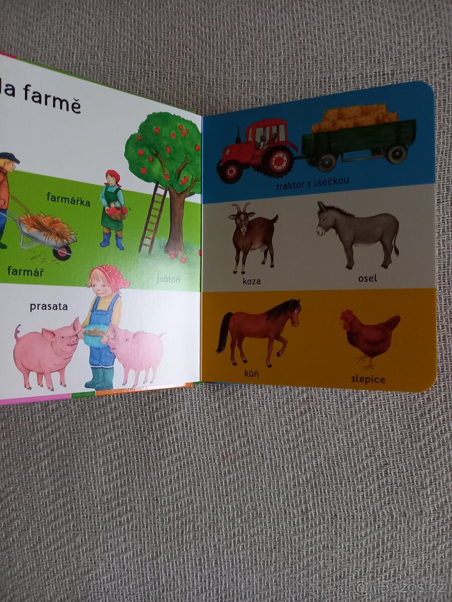 Obrázkový slovník - 7