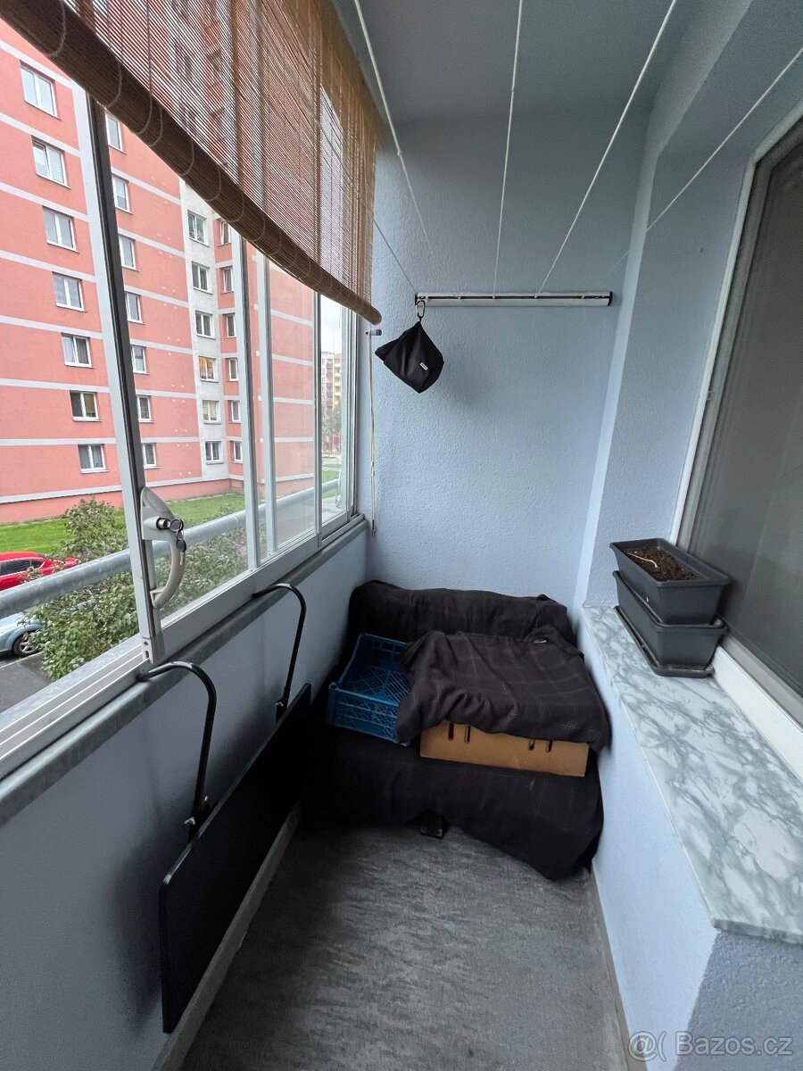 Pronájem bytu 3+1 Ostrava - 7