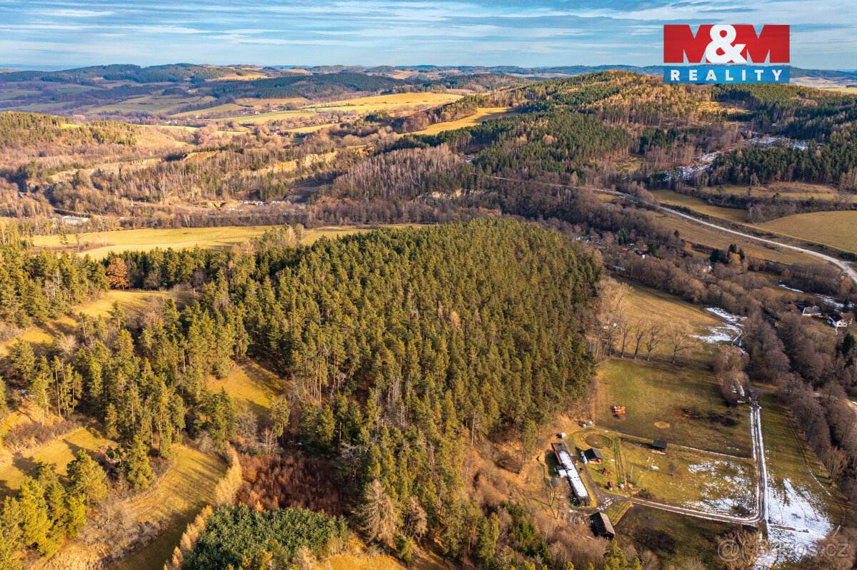 Prodej lesa, 13448 m², Malenice - 7
