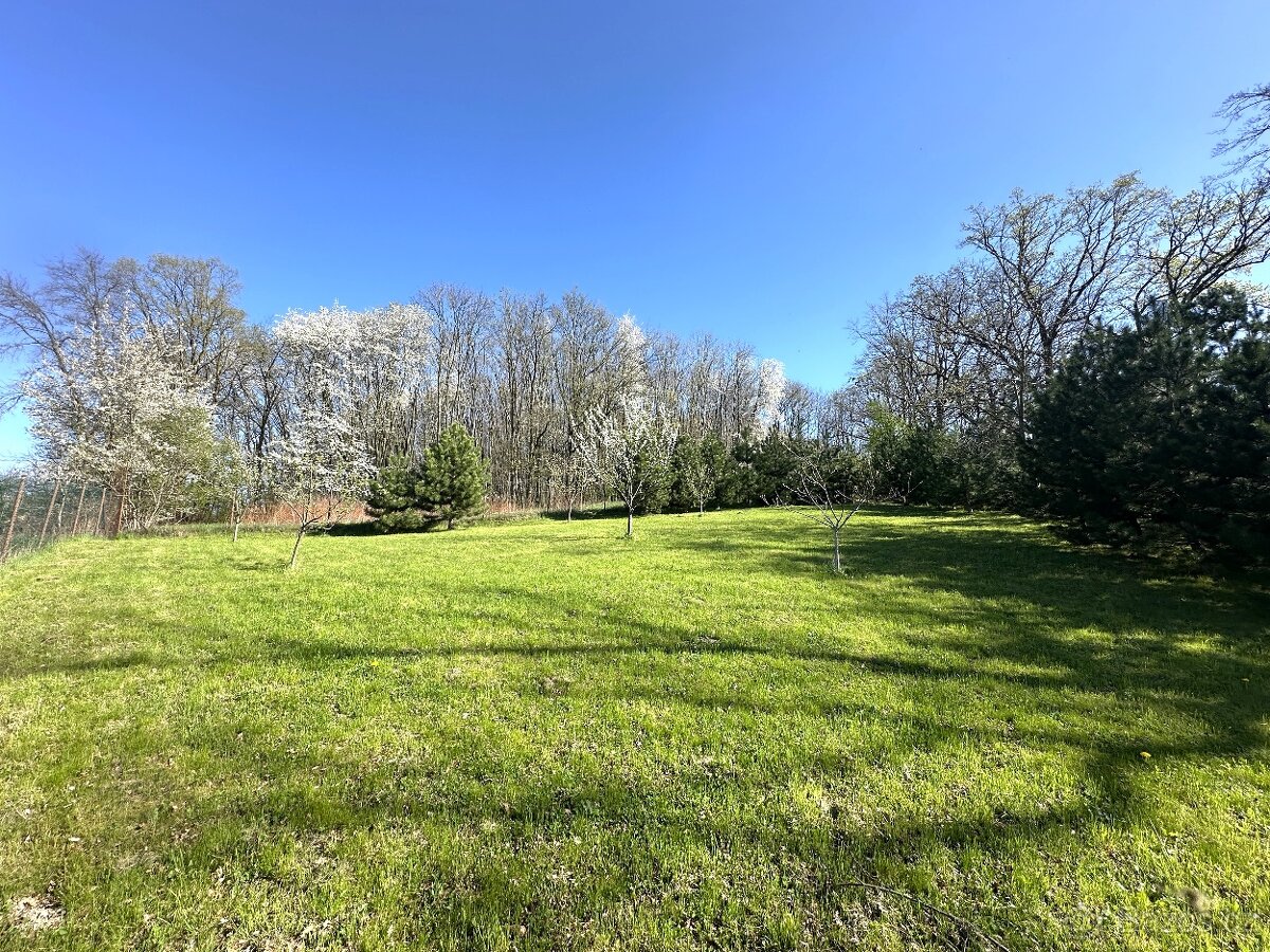 Prodej dvojdomu Ostrava - Hošťálkovice, 2 byty, 524 m2 - 7