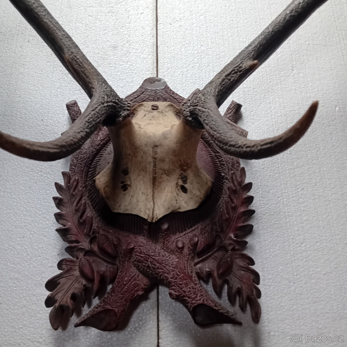 Jelení a srnčí trofeje - 7