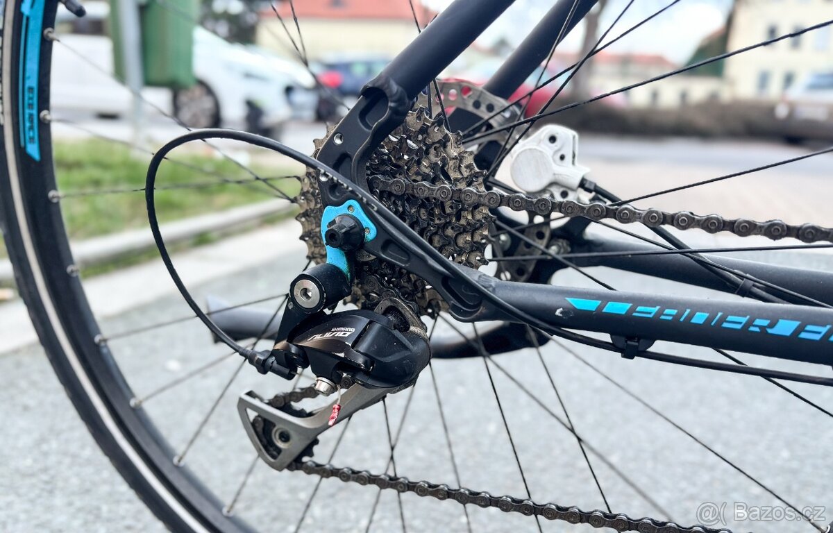 LEADER FOX STATE LADY - 7