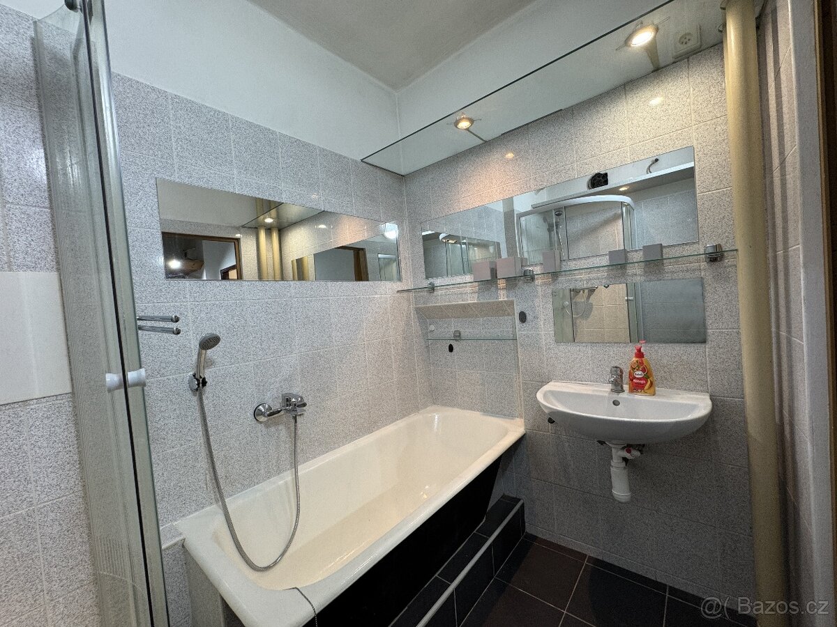 Nadstandardní 1+1, Hradec Králové - Malšovice - 7