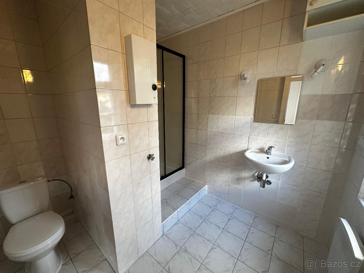 Pronájem bytu 1 + 1 - 7