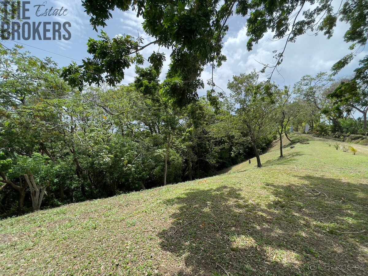 Lot 1 Bodden Bight Estate, Roatan - 7