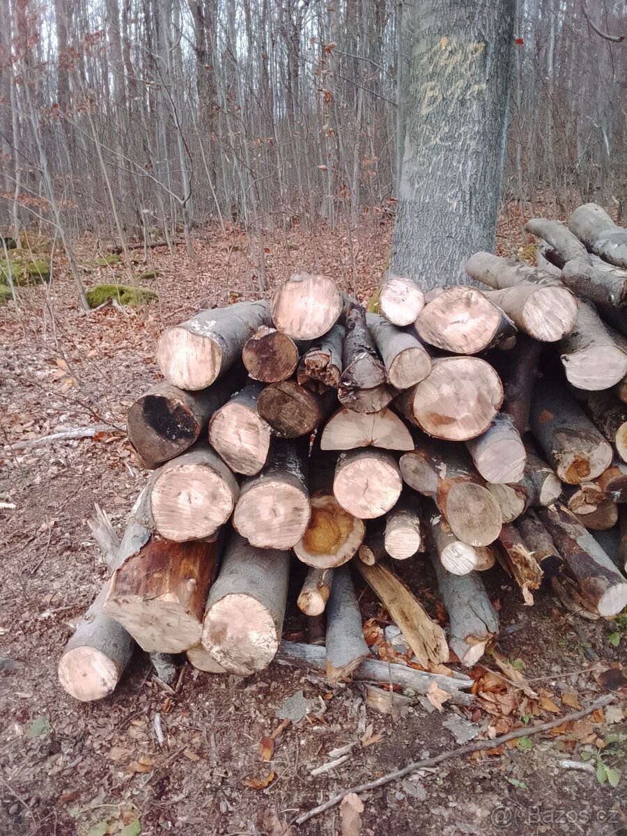 Palivové dřevo tvrdé - 7