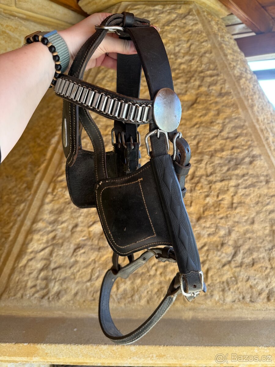 2x Vozová uzdečka - 7