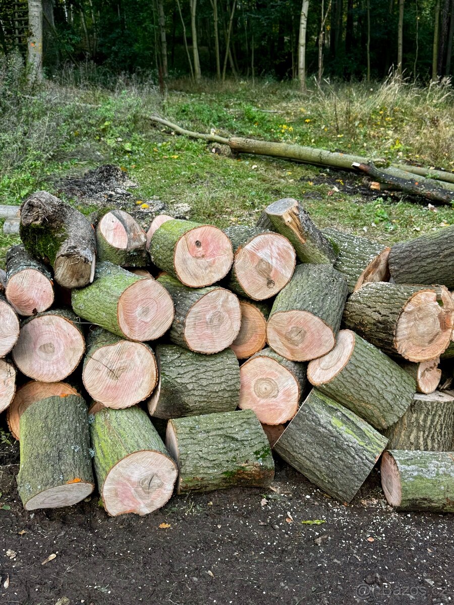 Prodej palivové dřeva - 7