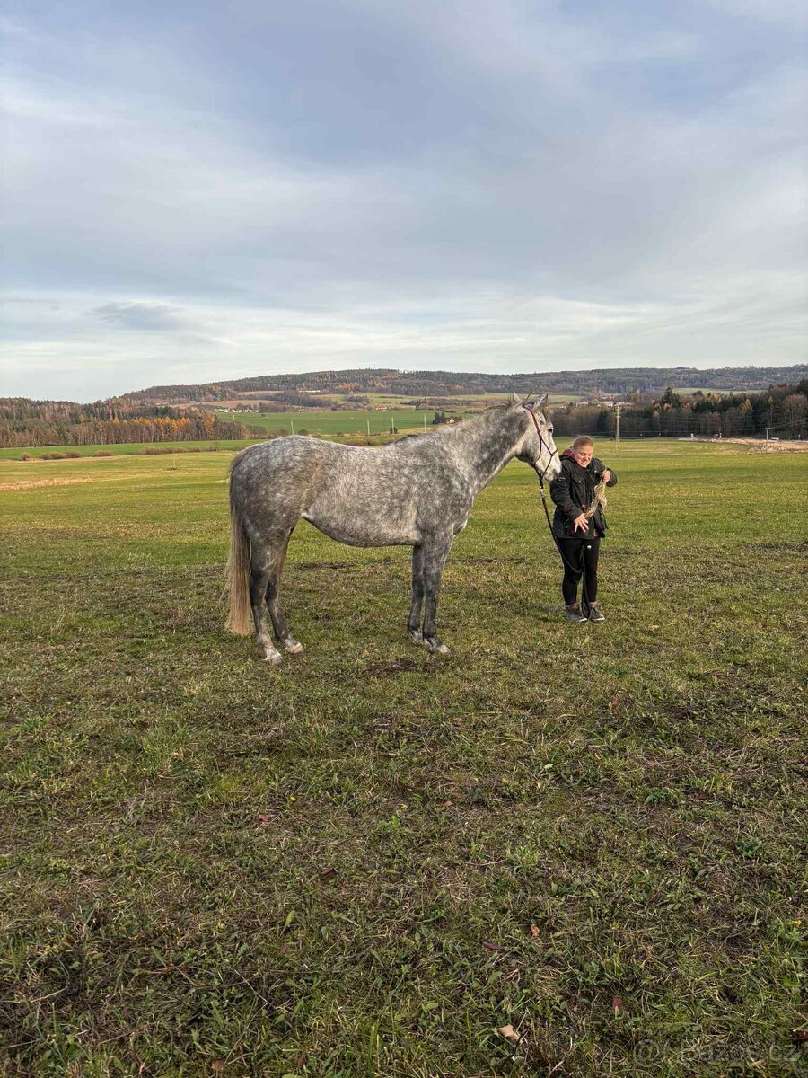 Pronajem úžasné šimličky - 7