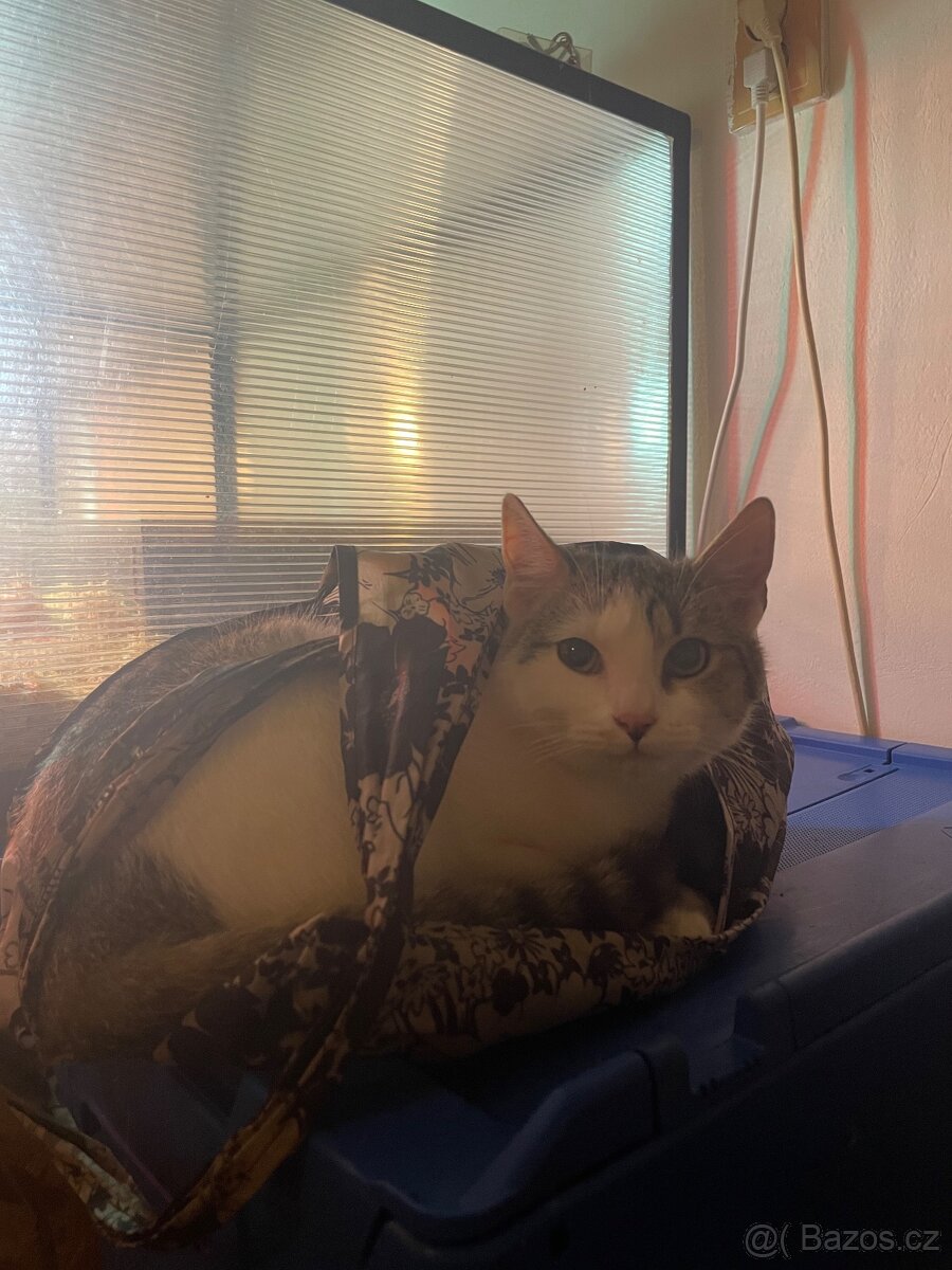 Daruji-rezervace - 7